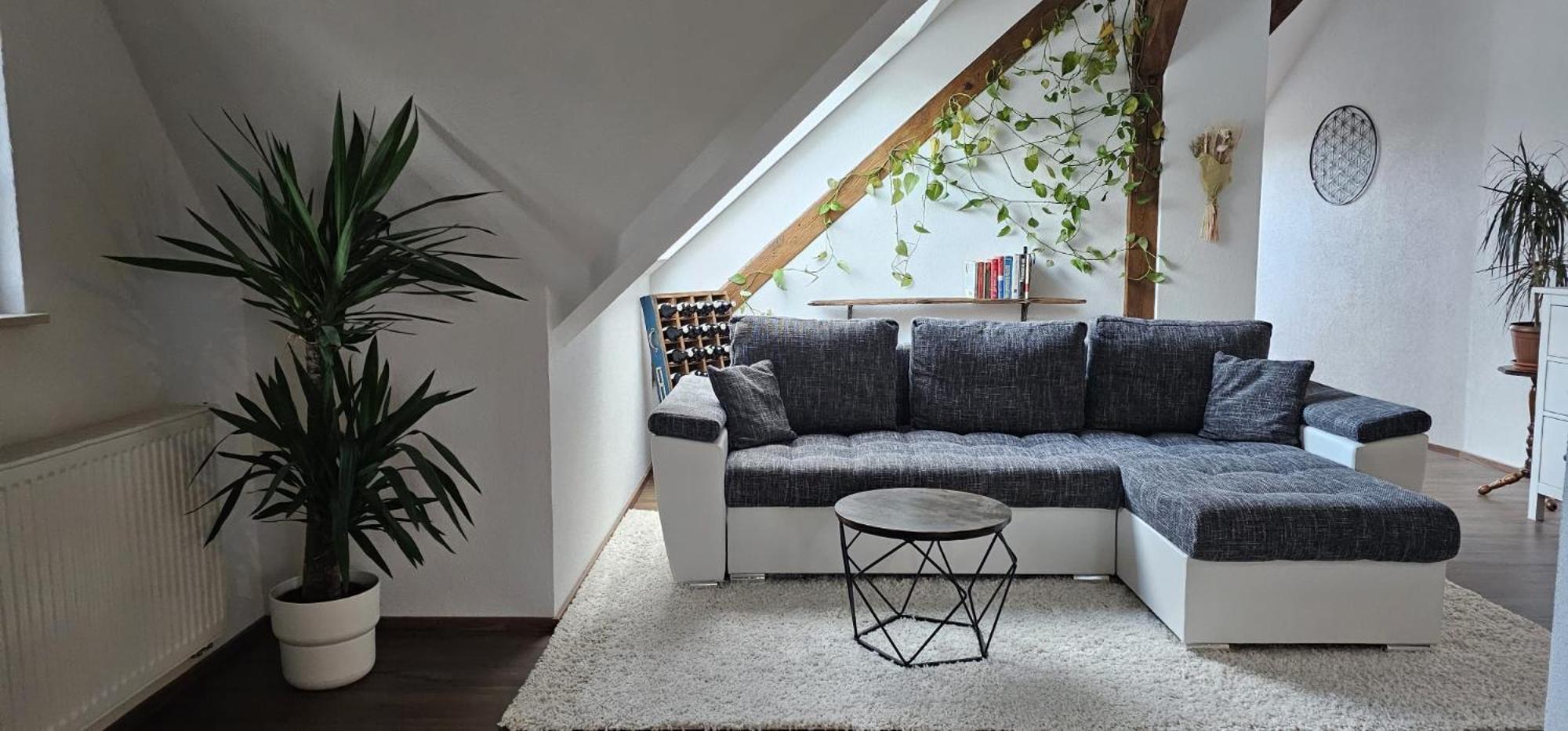 Seensucht & Urlaubstraeume, Ferienwohnung "Strand-Romantik" Senftenberg Ngoại thất bức ảnh
